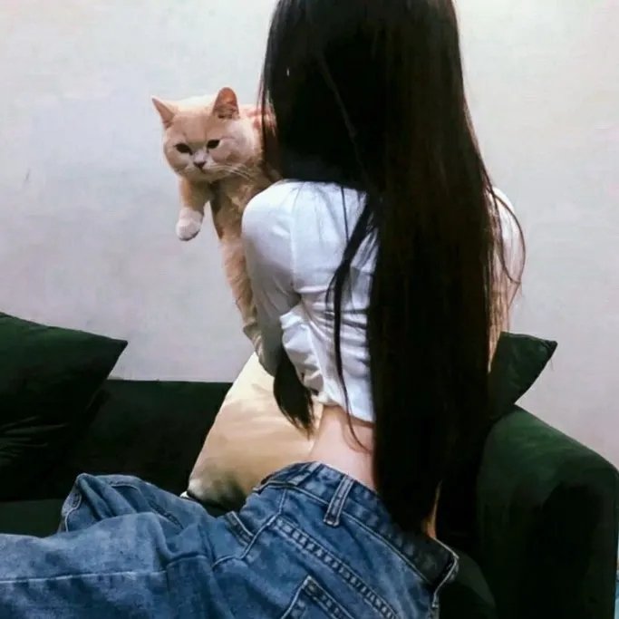 美得过火